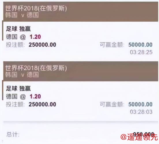 世界杯下注APP：畅享精彩投注体验