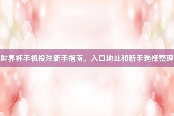 世界杯手机投注新手指南，入口地址和新手选择整理