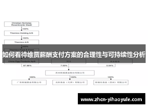 如何看待维贾薪酬支付方案的合理性与可持续性分析