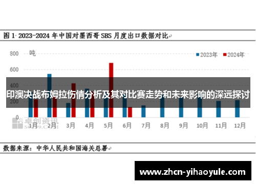 印澳决战布姆拉伤情分析及其对比赛走势和未来影响的深远探讨
